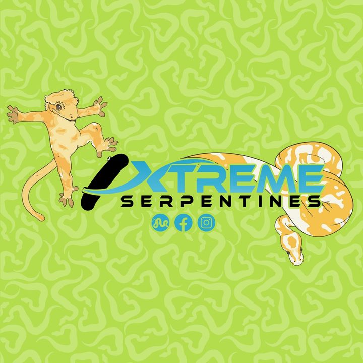 xtremeserpentines