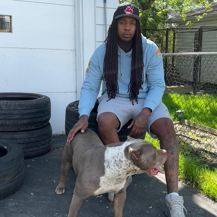 @traphousebullies216