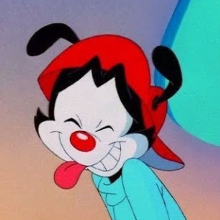 wakko_warner13