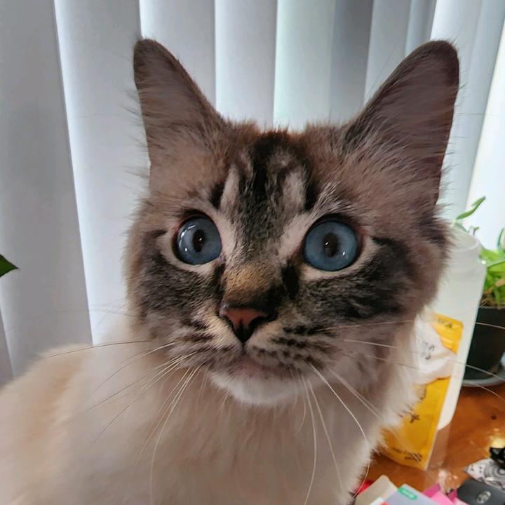 lui_ru