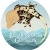 blueridgegeckos