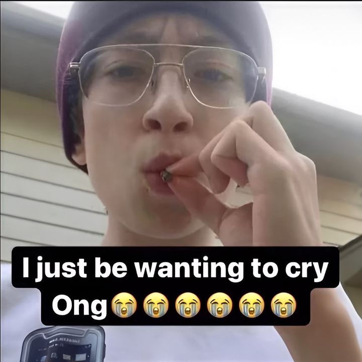 @birdteey @birdteey
