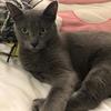 emmiurs