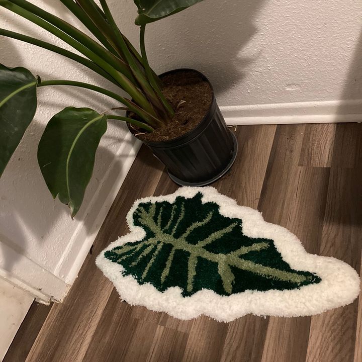 @rug.riguez