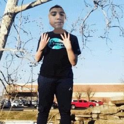@disvolual