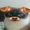 pckrnr