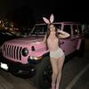 nikkigambo_