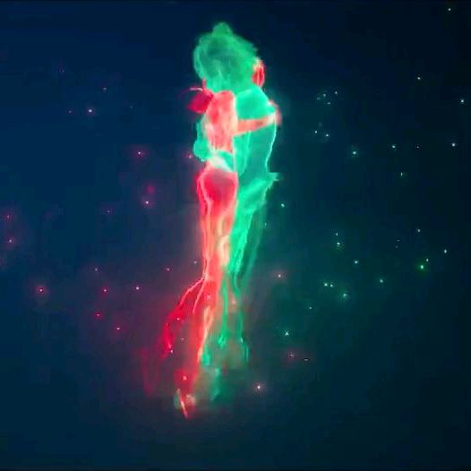 miraculousladybug.farts