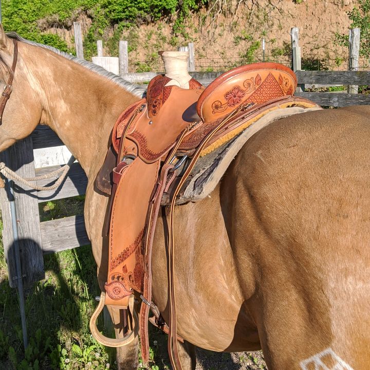boettchersaddlery