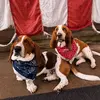 Beth & Otis - @beththebasset - TikTok