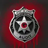 NorthGeorgiaAudit - @northgeorgiaaudit - TikTok