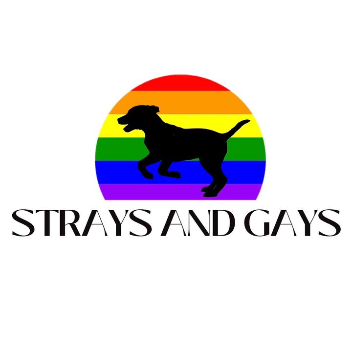 @straysandgays - Straysandgays