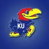 Jayhawker - @kansas_jayhawker - TikTok