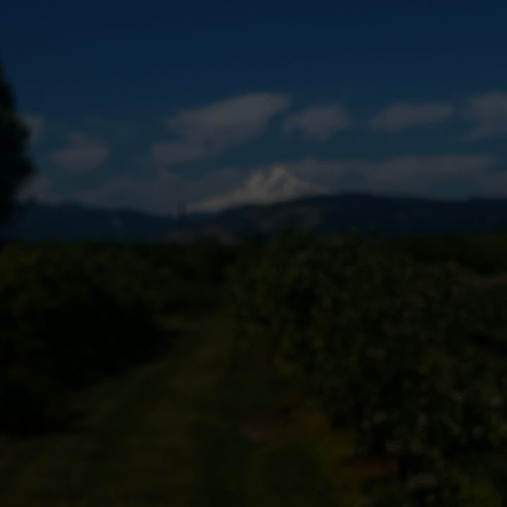 user9254061962192