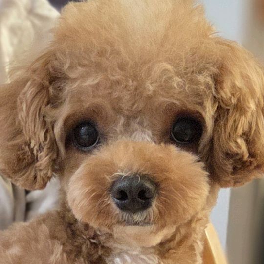 teddy12_22