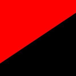 anarchosyndicalism2025