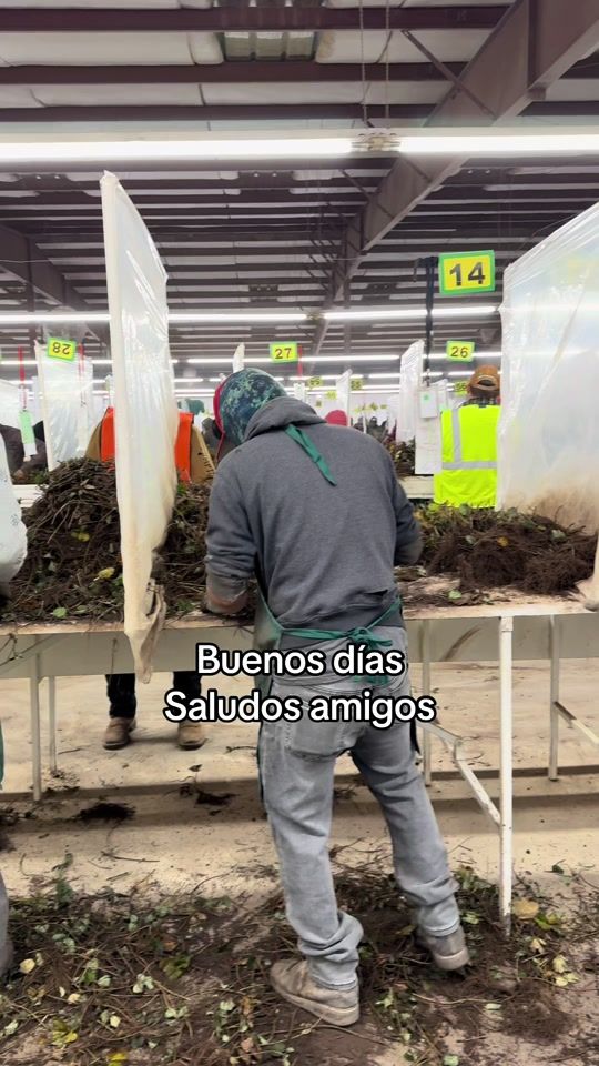 TikTok video thumbnail by cele__vasquez