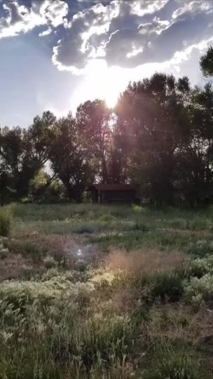 TikTok video thumbnail by nautithoughts