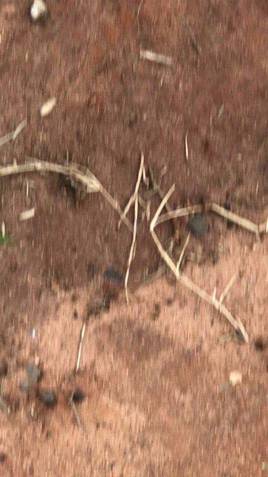 TikTok video thumbnail by adrianzinho777