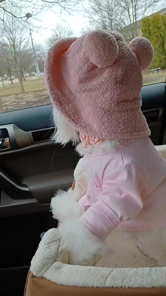 TikTok video thumbnail by addyyybuggg