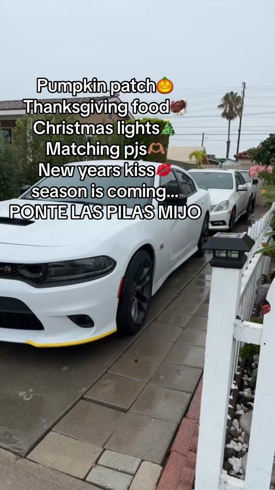 TikTok video thumbnail by vanescatty30