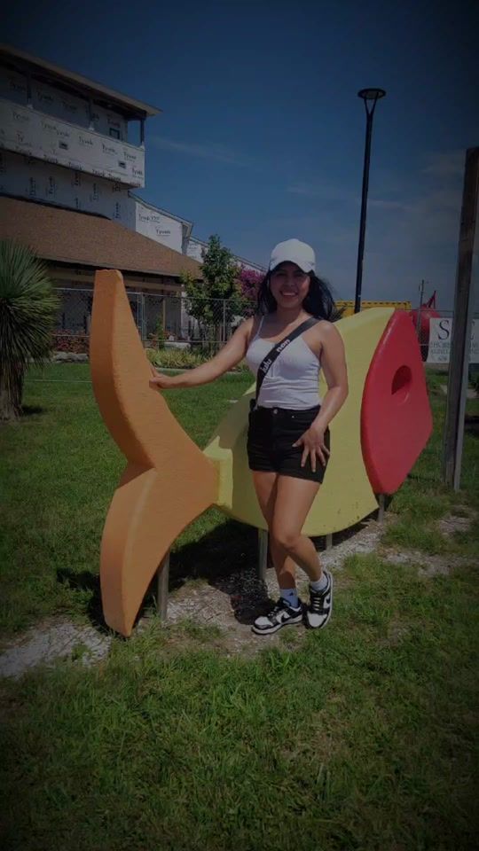 TikTok video thumbnail by lilymendez61