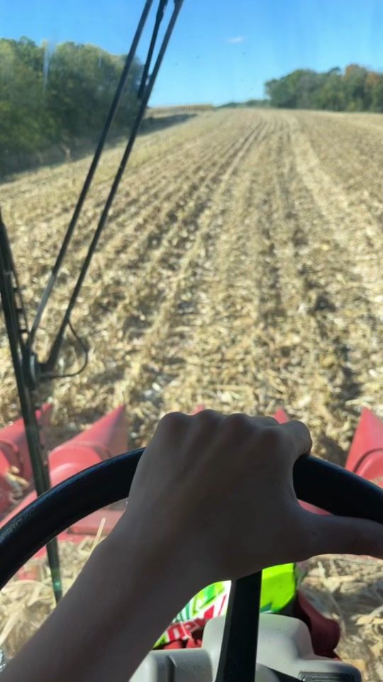 TikTok video thumbnail by kreidermacher_farms2002