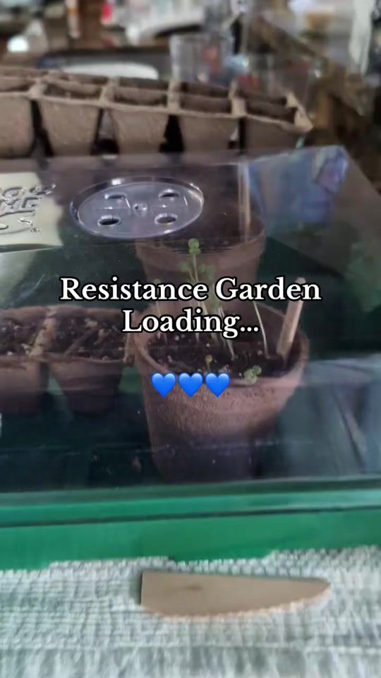 TikTok video thumbnail by hoeingandgrowing
