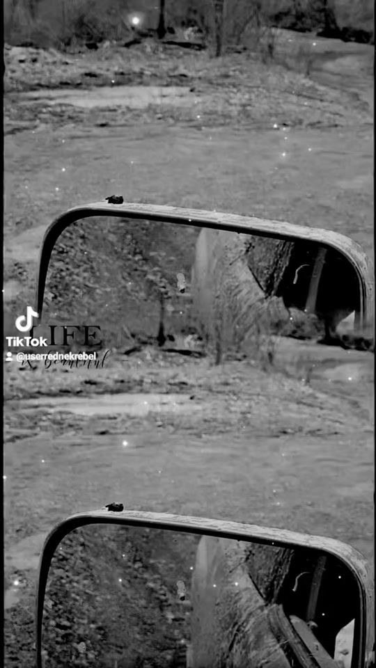 TikTok video thumbnail by userrednekrebel