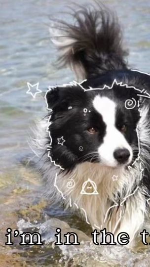 TikTok video thumbnail by blueberryl0rd