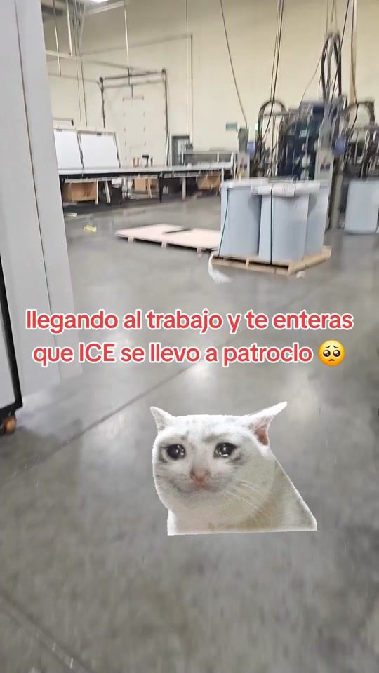 TikTok video thumbnail by 6_mendoza