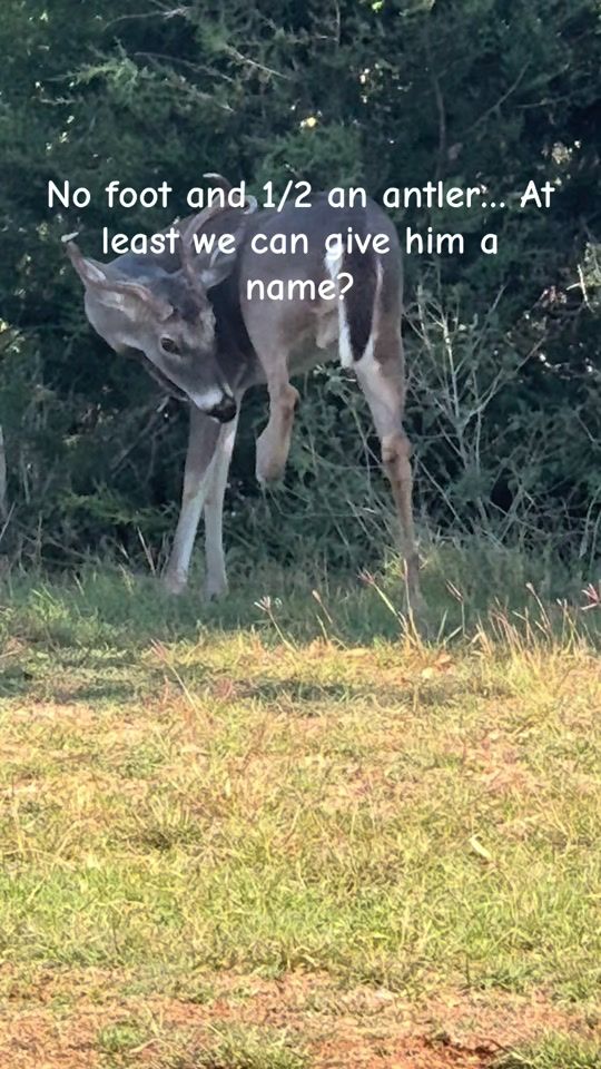 TikTok video thumbnail by mitchellcrowsey