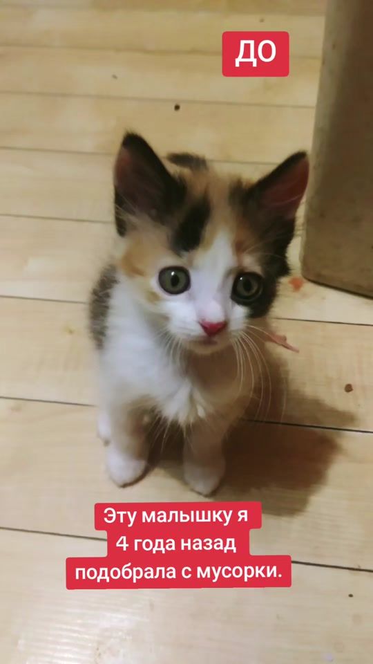 TikTok video thumbnail by user5785089726783