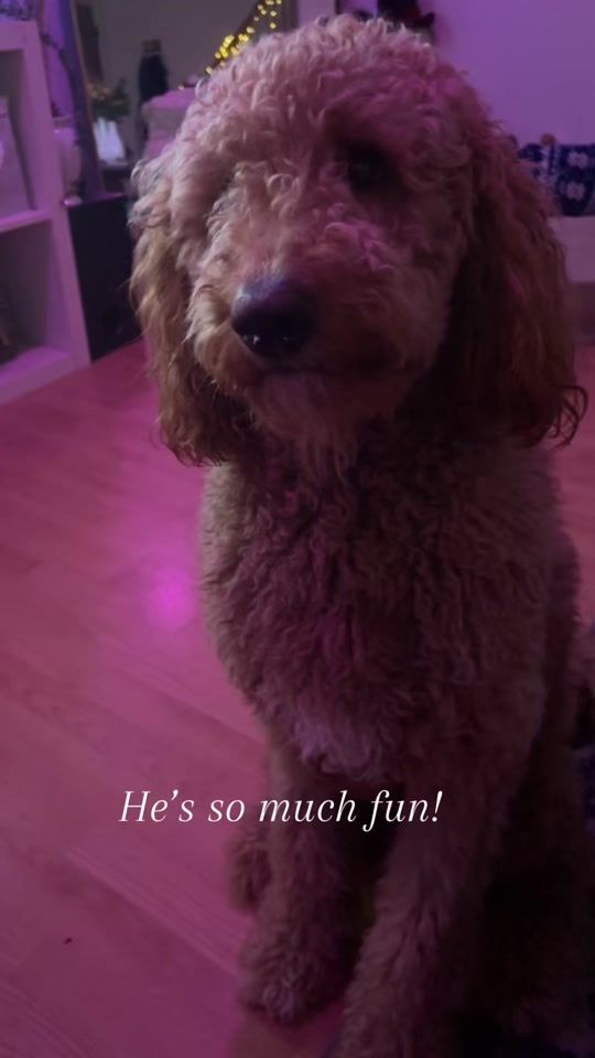 TikTok video thumbnail by twixytwix2