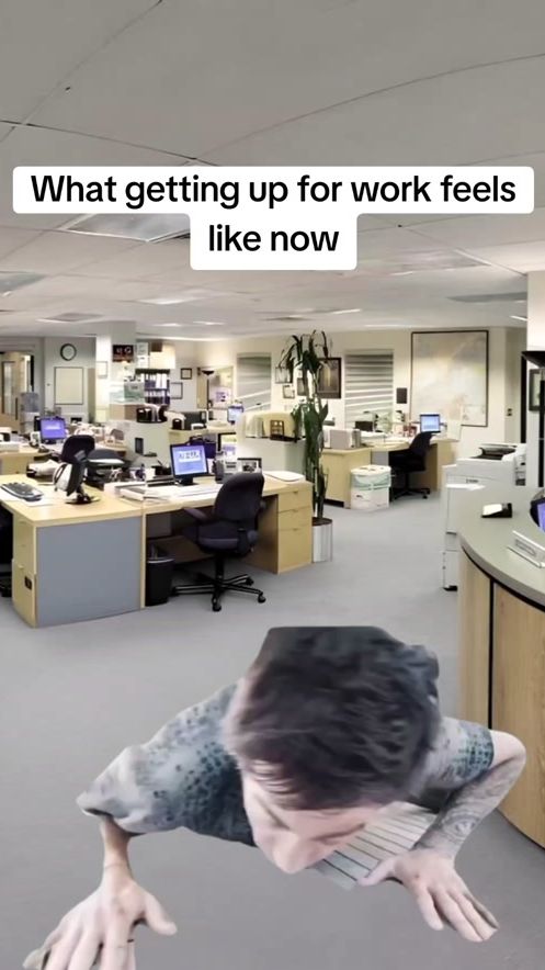 TikTok video thumbnail by toxictomatwork