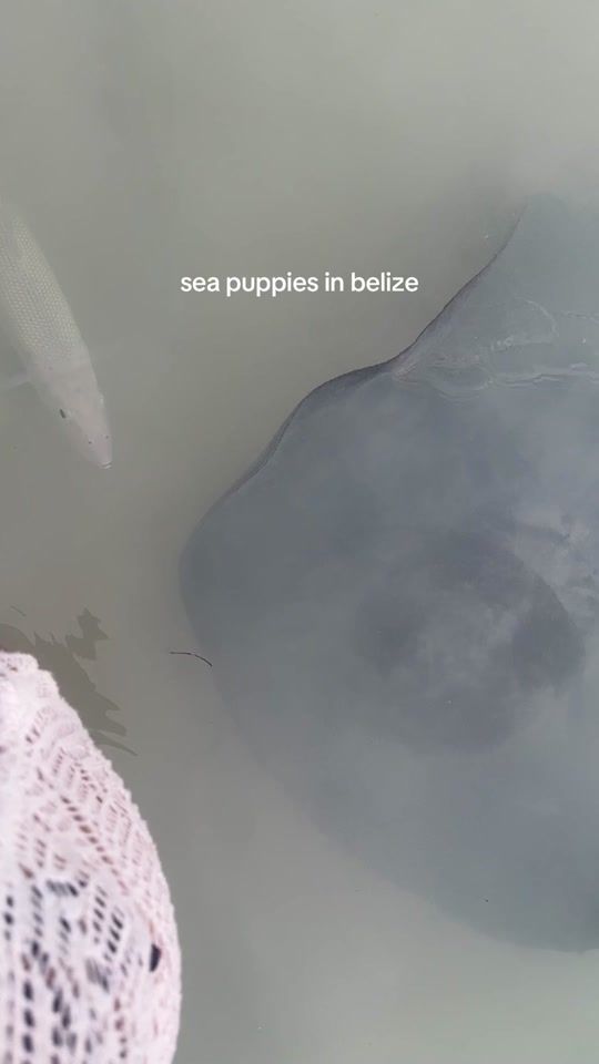 TikTok video thumbnail by samjaereyes