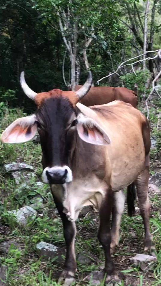 TikTok video thumbnail by reyesmenjivar480