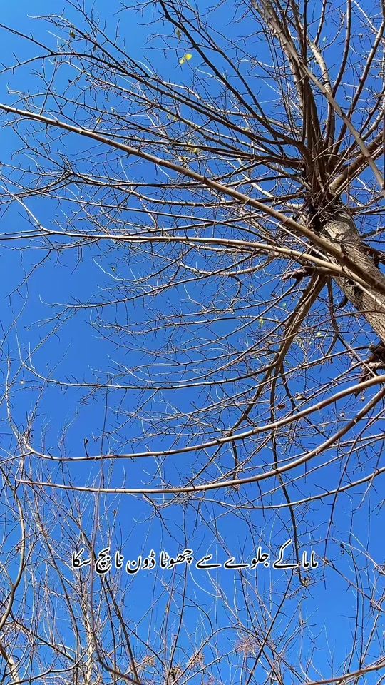 TikTok video thumbnail by chachiboys082