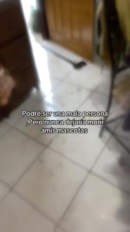 TikTok video thumbnail by dibujandoconfaz