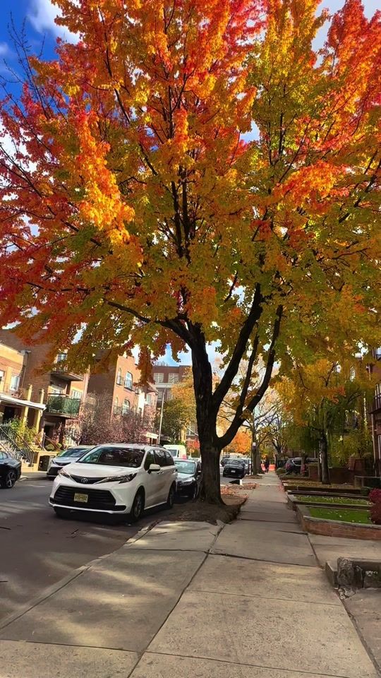 TikTok video thumbnail by ofeliach07