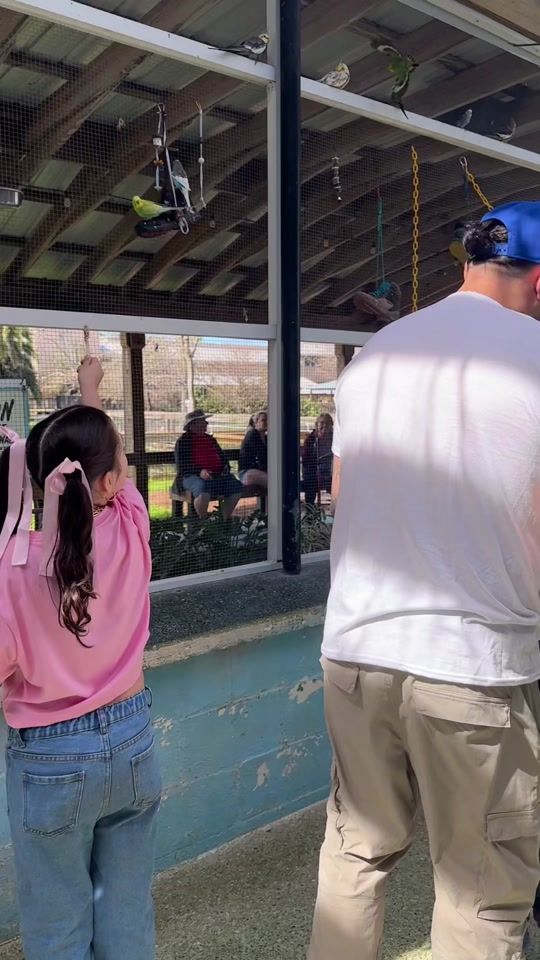 TikTok video thumbnail by momma_viz