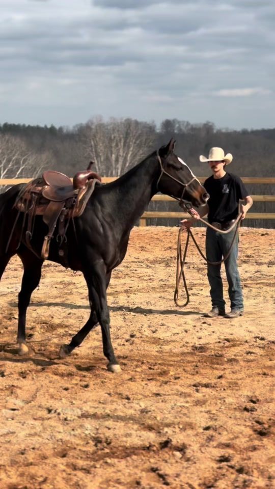 TikTok video thumbnail by leahh.fishh