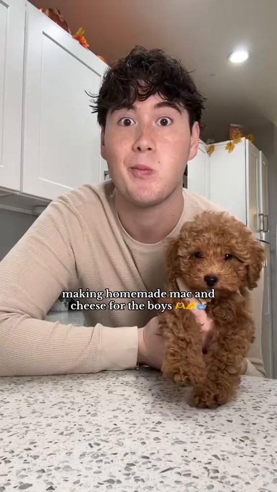 TikTok video thumbnail by bakedbykyle