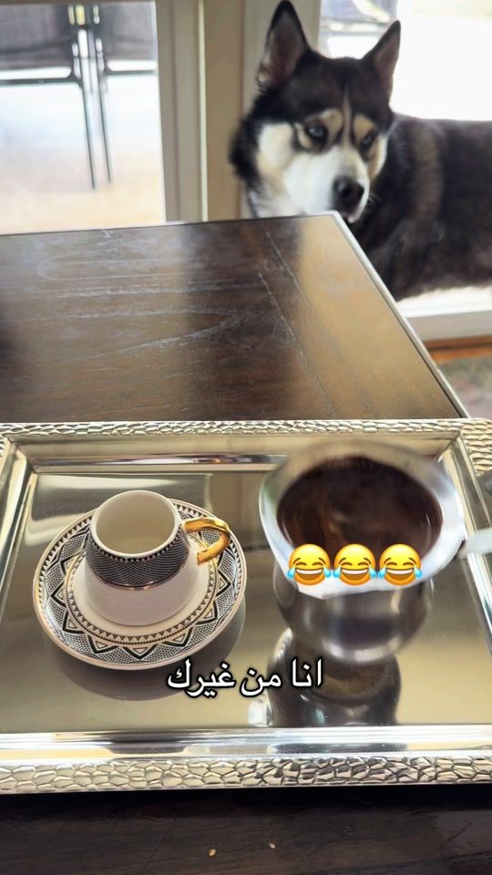 TikTok video thumbnail by reemo3206