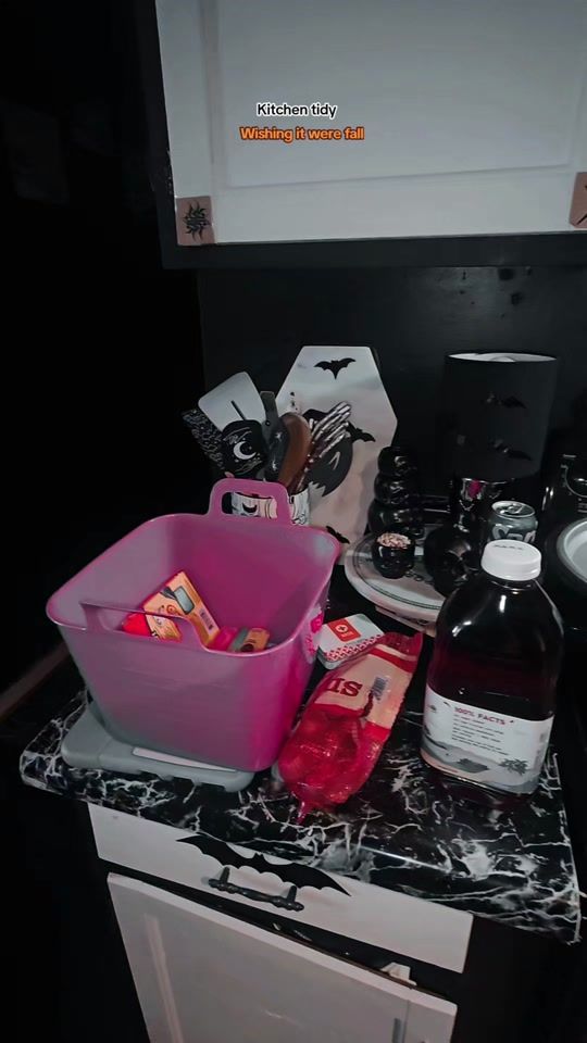 TikTok video thumbnail by vanessa_sheets