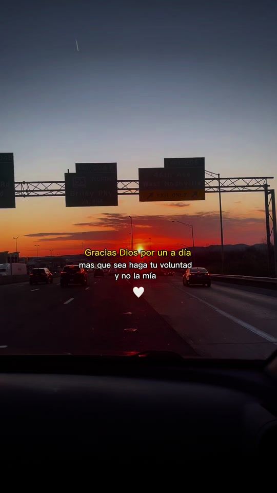 TikTok video thumbnail by elflacohn2