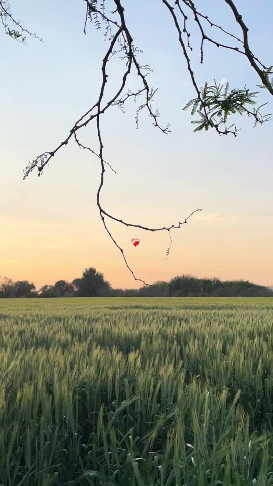 TikTok video thumbnail by ulis_rg