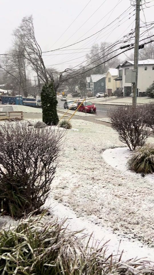 TikTok video thumbnail by max_panjsheri