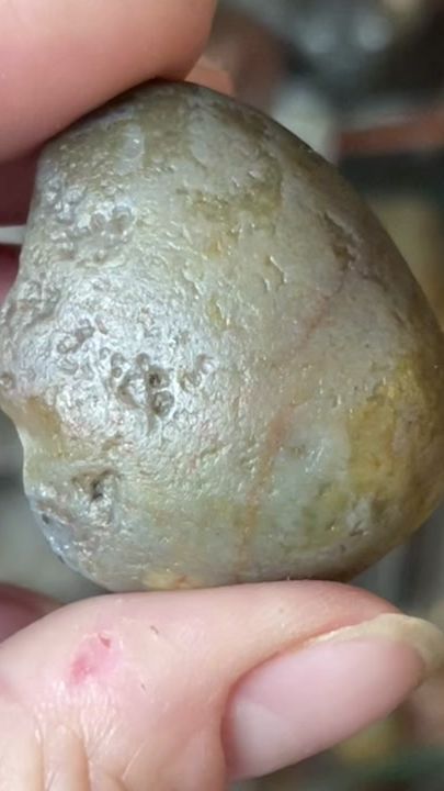 TikTok video thumbnail by willowrockson12