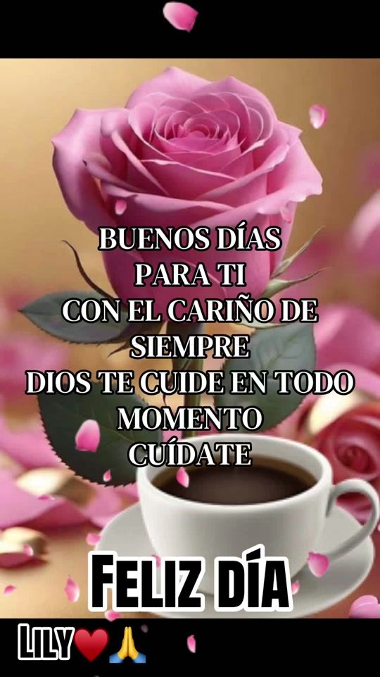 TikTok video thumbnail by lilylily4926